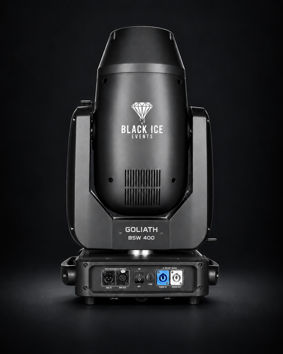 GOLIATH BSW 400 — vue arrière et connectique
